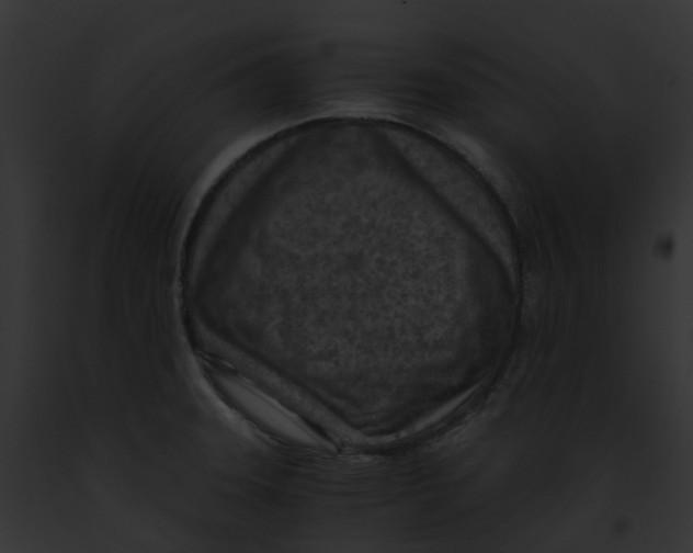 X0000091901331200710031154