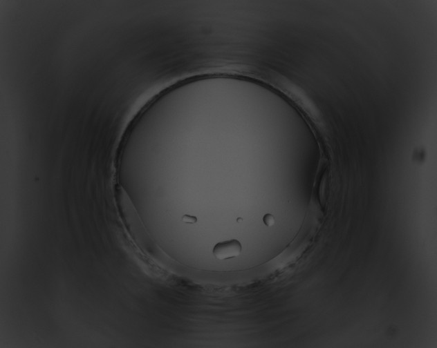 X0000091901332200710031154