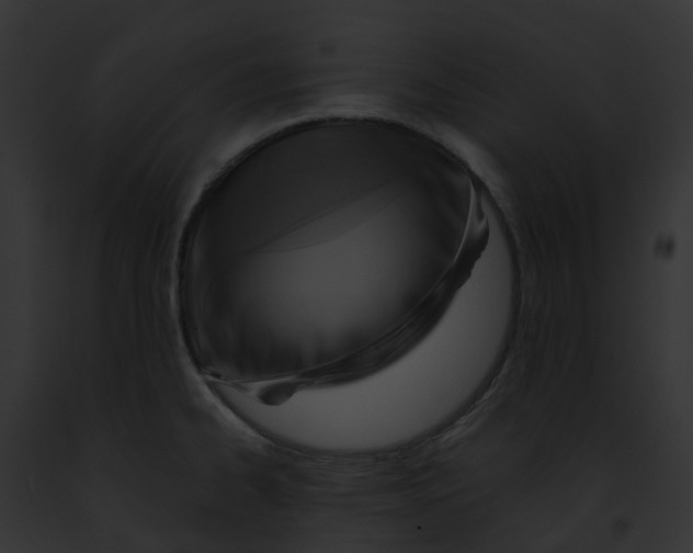 X0000091901334200710031154