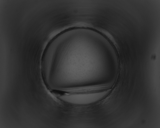 X0000091901335200710031154