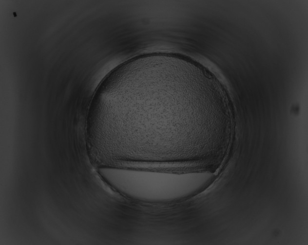 X0000091901337200710031154