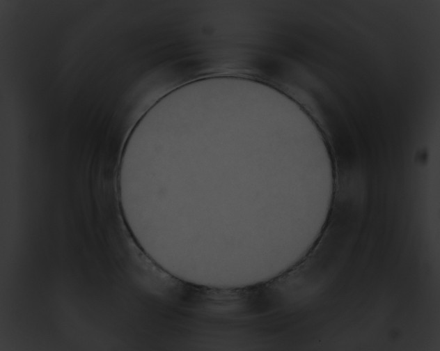 X0000091901338200710031154