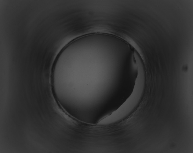 X0000091901339200710031154