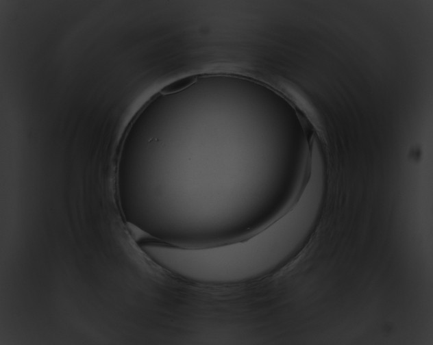 X0000091901340200710031154