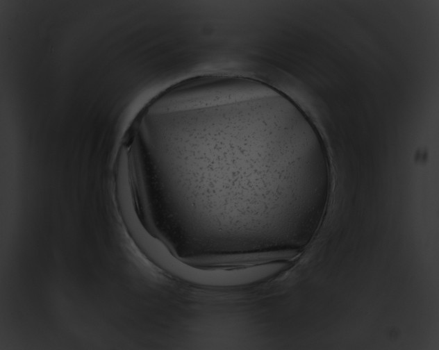 X0000091901344200710031154