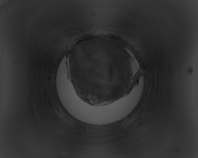 X0000091901348200710031153