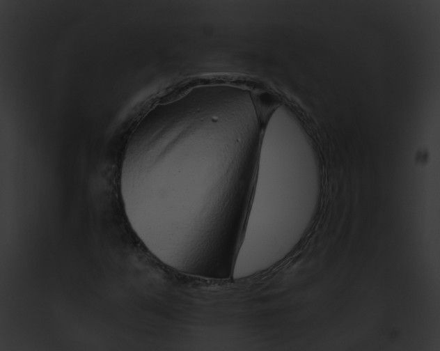 X0000091901351200710031153