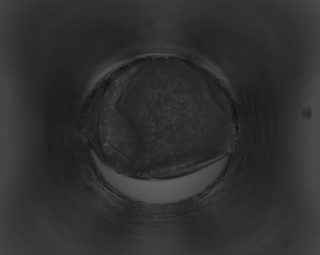 X0000091901352200710031153