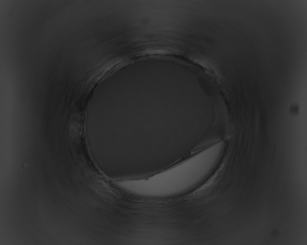 X0000091901353200710031153