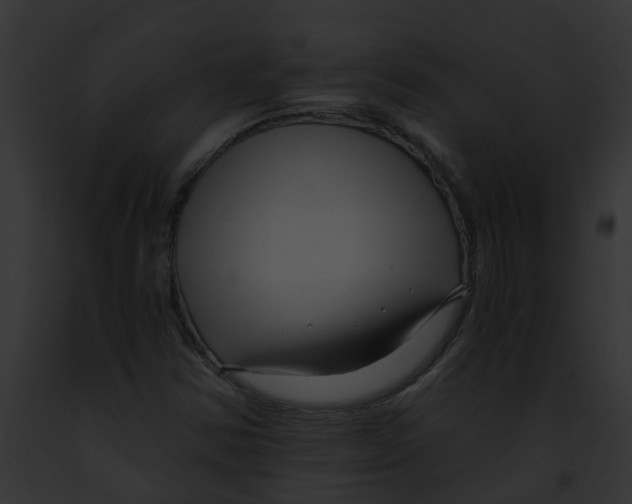 X0000091901354200710031153