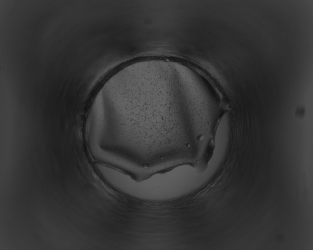 X0000091901356200710031153