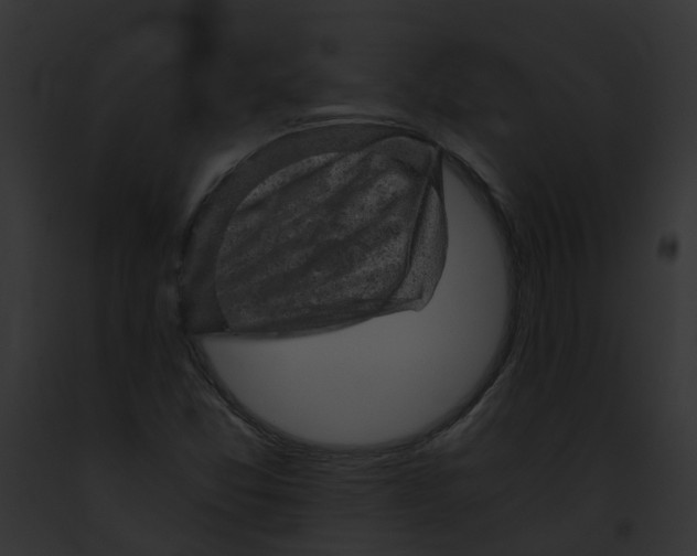 X0000091901357200710031153