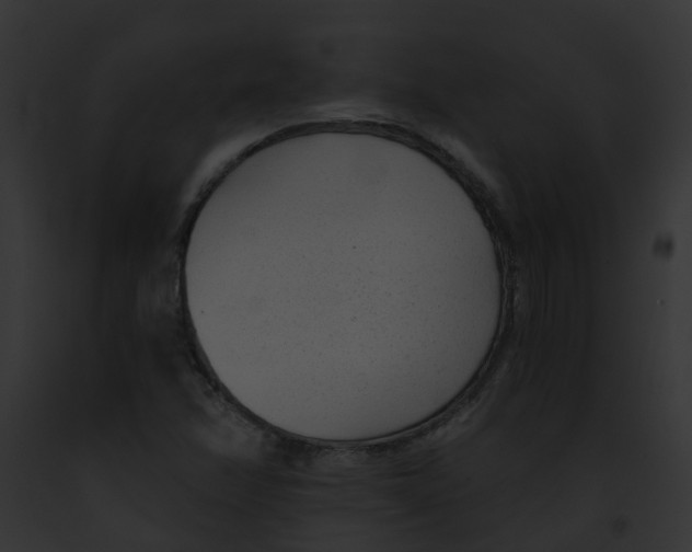 X0000091901358200710031153