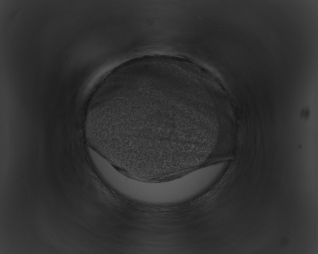 X0000091901359200710031153