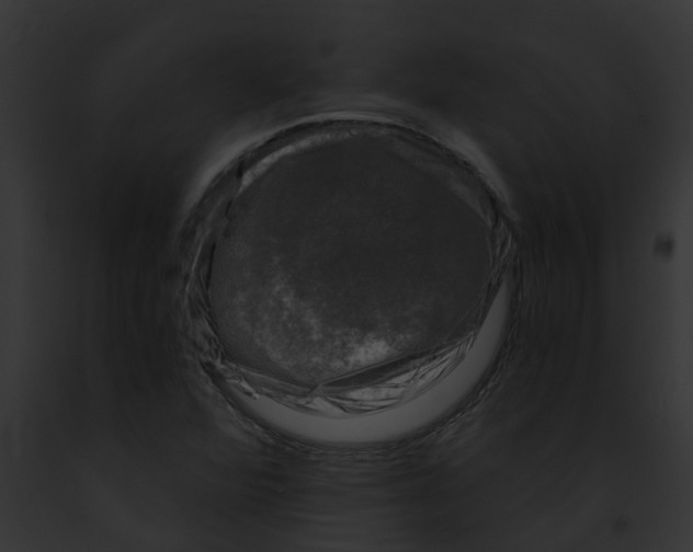 X0000091901360200710031153