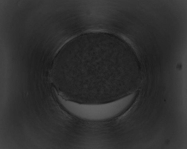 X0000091901361200710031153