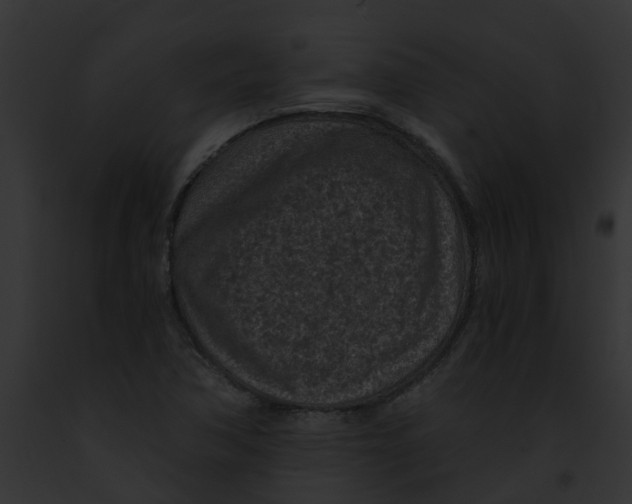 X0000091901362200710031153