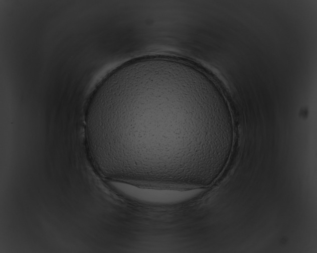 X0000091901363200710031153