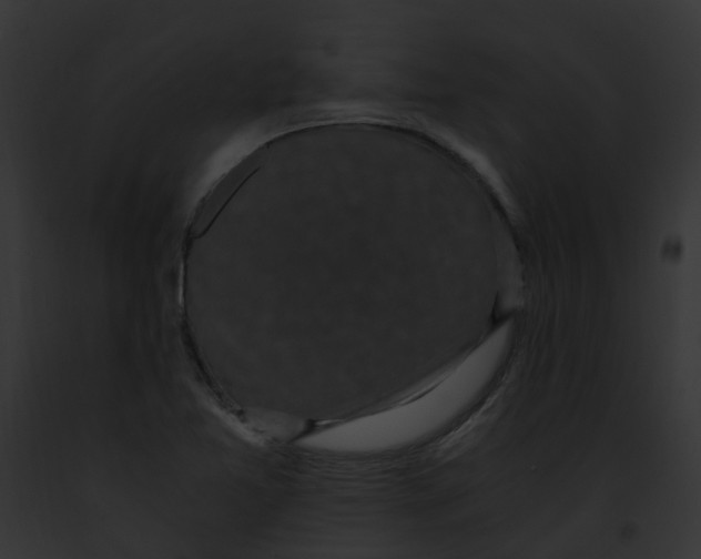 X0000091901365200710031153