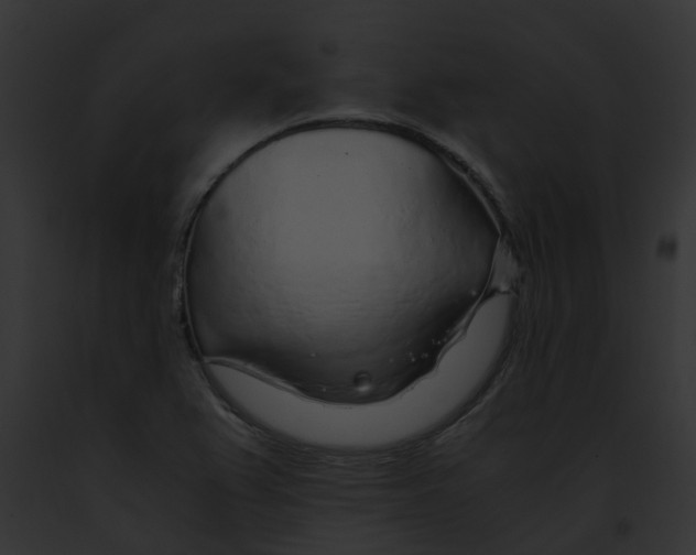 X0000091901367200710031153