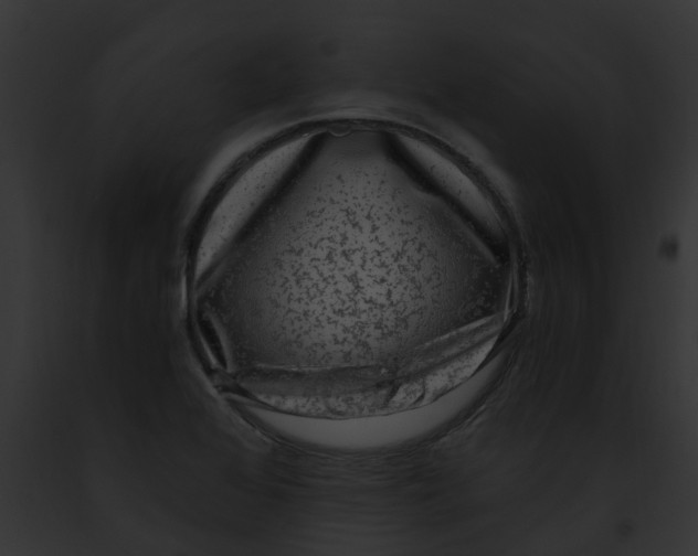 X0000091901368200710031153