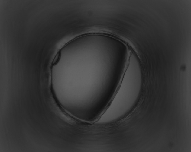 X0000091901371200710031153