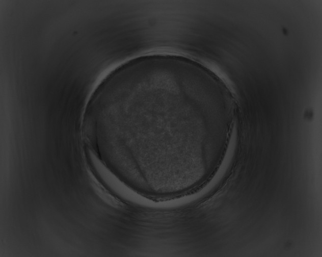 X0000091901372200710031153