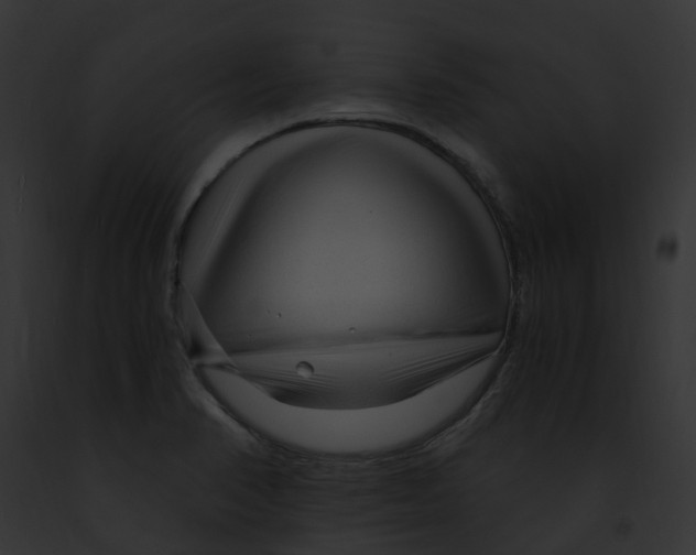 X0000091901374200710031153