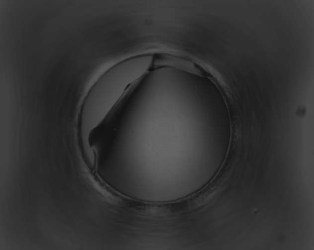 X0000091901375200710031153