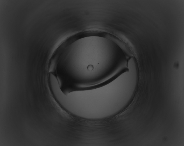 X0000091901376200710031153