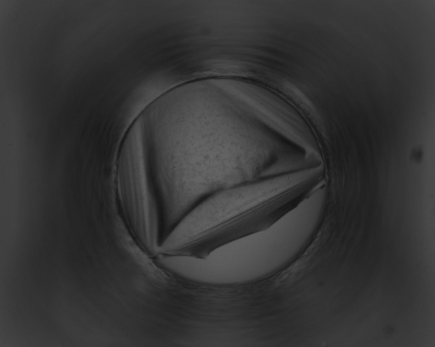 X0000091901378200710031153