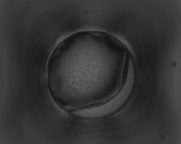 X0000091901380200710031153