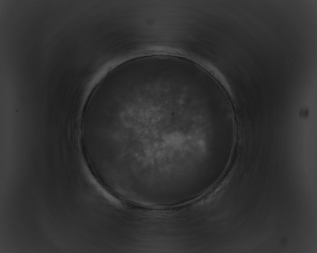 X0000091901381200710031153