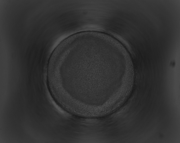 X0000091901383200710031153