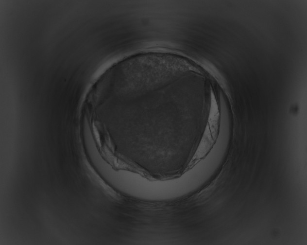 X0000091901384200710031153