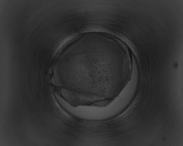 X0000091901385200710031153