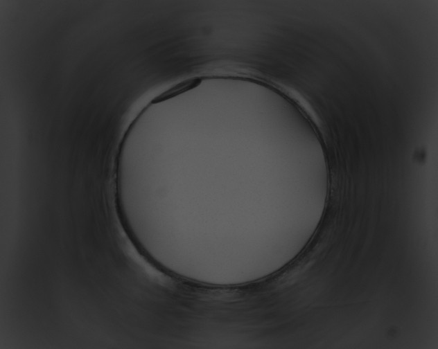 X0000091901387200710031153