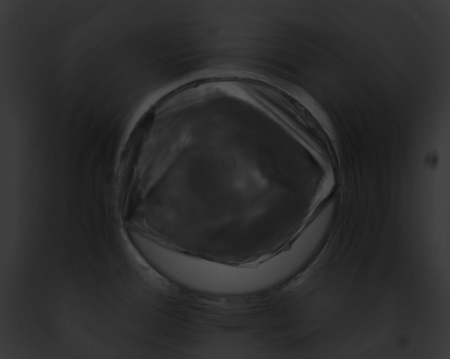 X0000091901388200710031153