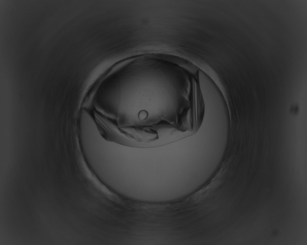 X0000091901389200710031153