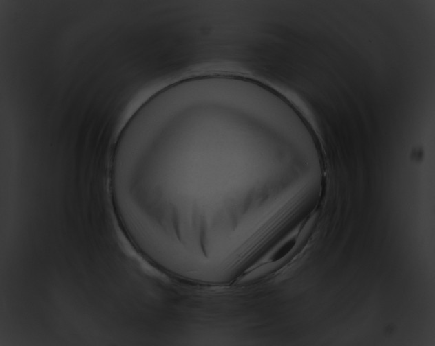 X0000091901390200710031153