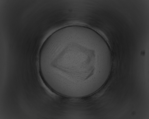 X0000091901391200710031153