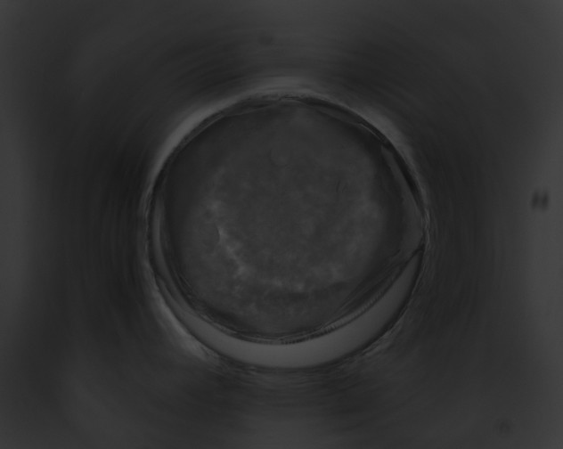 X0000091901392200710031153