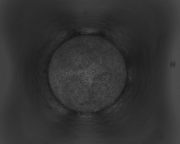 X0000091901393200710031152