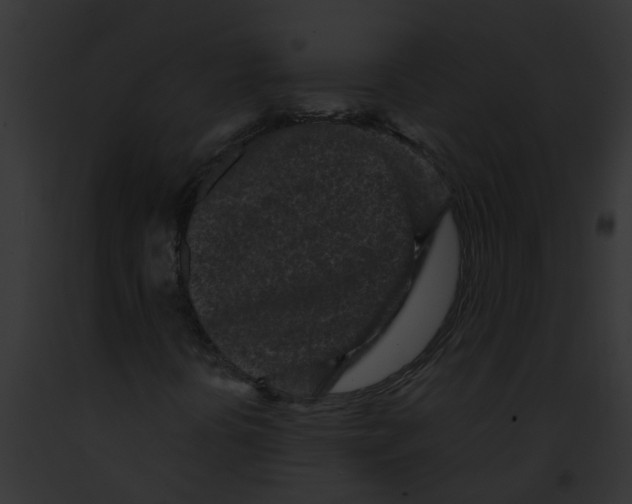 X0000091901394200710031152