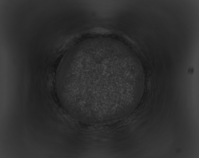 X0000091901397200710031152