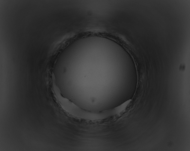 X0000091901398200710031152