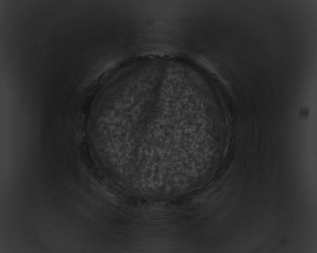 X0000091901399200710031152