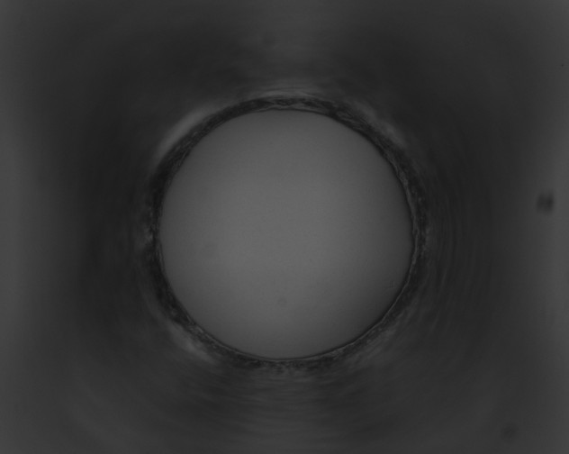 X0000091901400200710031152