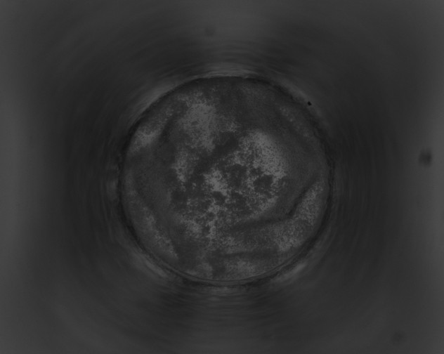 X0000091901401200710031152