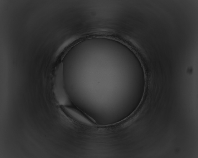 X0000091901402200710031152